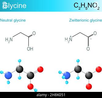 Formule moléculaire de la glycine. Glycine neutre et glycine zwittérionique.Formule et modèle chimiques structuraux d'un acide aminé stable le plus simple.Vecteur Ill Illustration de Vecteur