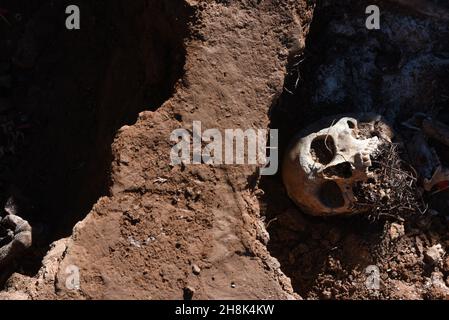 Belchite, Espagne.30 novembre 2021.(NOTE DE LA RÉDACTION: L'image dépeint la mort) Un cranium est vu dans une tombe de masse à Belchite.l'exhumation des victimes de la guerre civile espagnole se poursuit dans deux tombes de masse dans un cimetière à Belchite, dans la province de Saragosse.Le site était l'un des champs de bataille les plus sanglants avec un total de 400 personnes tuées de la ville de Belchite et de la région environnante.Crédit : SOPA Images Limited/Alamy Live News Banque D'Images