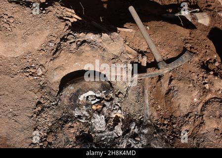 Belchite, Espagne.30 novembre 2021.(NOTE DE LA RÉDACTION: L'image dépeint la mort) Un cranium est vu dans une tombe de masse à Belchite.l'exhumation des victimes de la guerre civile espagnole se poursuit dans deux tombes de masse dans un cimetière à Belchite, dans la province de Saragosse.Le site était l'un des champs de bataille les plus sanglants avec un total de 400 personnes tuées de la ville de Belchite et de la région environnante.Crédit : SOPA Images Limited/Alamy Live News Banque D'Images