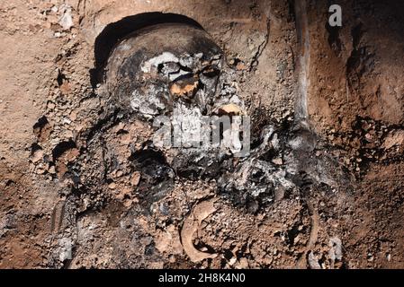 Belchite, Espagne.30 novembre 2021.(NOTE DE LA RÉDACTION: L'image dépeint la mort) Un cranium est vu dans une tombe de masse à Belchite.l'exhumation des victimes de la guerre civile espagnole se poursuit dans deux tombes de masse dans un cimetière à Belchite, dans la province de Saragosse.Le site était l'un des champs de bataille les plus sanglants avec un total de 400 personnes tuées de la ville de Belchite et de la région environnante.Crédit : SOPA Images Limited/Alamy Live News Banque D'Images