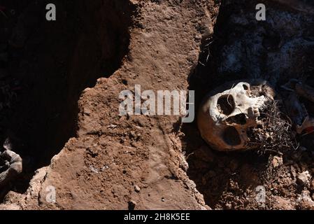 Belchite, Espagne.30 novembre 2021.(NOTE DE LA RÉDACTION: L'image dépeint la mort) Un cranium est vu dans une tombe de masse à Belchite.l'exhumation des victimes de la guerre civile espagnole se poursuit dans deux tombes de masse dans un cimetière à Belchite, dans la province de Saragosse.Le site était l'un des champs de bataille les plus sanglants avec un total de 400 personnes tuées de la ville de Belchite et de la région environnante.(Photo de Jorge Sanz/SOPA Images/Sipa USA) crédit: SIPA USA/Alay Live News Banque D'Images