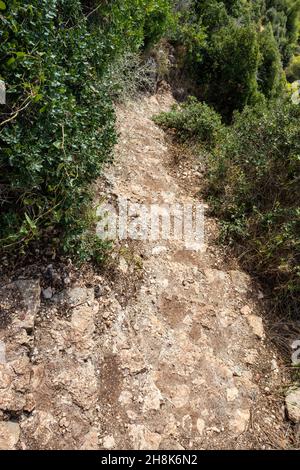 Forêt sauvage chemin de randonnée rocailleux étroit avec buissons verts sur l'île grecque chaude d'été, Lefkada, Grèce.Photo de scène de chemin vertical Banque D'Images