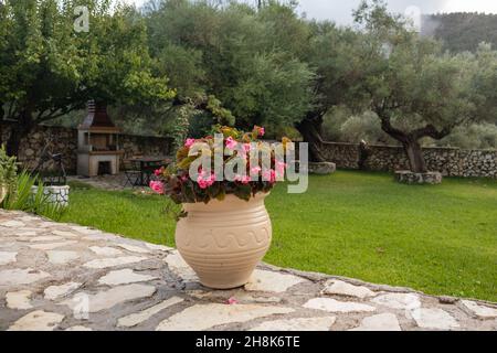 Grand vase avec fleurs roses en vert été grec traditionnel avec oliviers et murs en pierre.Détails de l'architecture des lieux de voyage d'été Banque D'Images