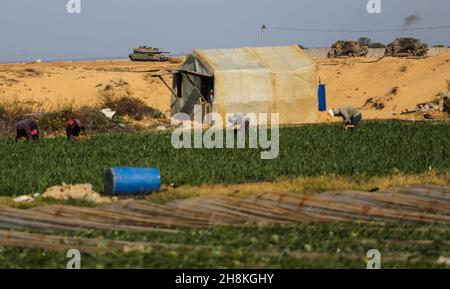 Gaza, Palestine.30 novembre 2021.Des chars israéliens vus à la frontière tandis que les agriculteurs palestiniens cueillait des fraises dans une ferme du village d'Um Al-Nasser, dans le nord de la bande de Gaza.Crédit : SOPA Images Limited/Alamy Live News Banque D'Images