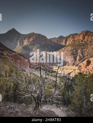 Photo de paysage sur un fond de mur de pierre dans le terrain de camping Echo Park, Dinosaur Nation Monument, Utah et Colorado, Etats-Unis Banque D'Images