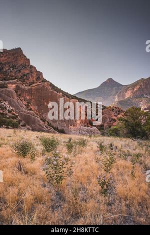 Photo de paysage sur un fond de mur de pierre dans le terrain de camping Echo Park, Dinosaur Nation Monument, Utah et Colorado, Etats-Unis Banque D'Images