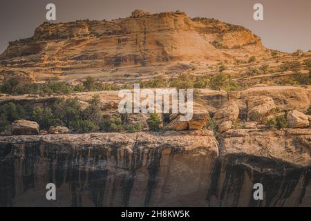 Photo de paysage sur un fond de mur de pierre dans le terrain de camping Echo Park, Dinosaur Nation Monument, Utah et Colorado, Etats-Unis Banque D'Images