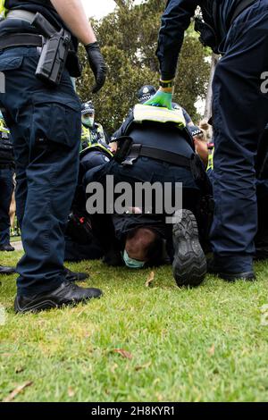 Le chef d'un manifestant masculin peut être vu comme un groupe de policiers le épingler sur le terrain alors qu'ils tentent du menotter après avoir encerclé des manifestants dans Treasury Gardens.Une manifestation anti-Daniel Andrews du premier ministre de l'État dans Treasury Gardens a attiré une forte réaction de la police, a laissé les manifestants devant des officiers de police montés, chargés de l'ordre public et des tâches générales samedi dans le quartier des affaires de Melbourne.(Photo de Michael Currie/Speed Media) Banque D'Images