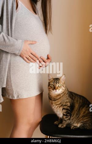 Tabby chat est assis sur une chaise à côté d'une femme enceinte Banque D'Images