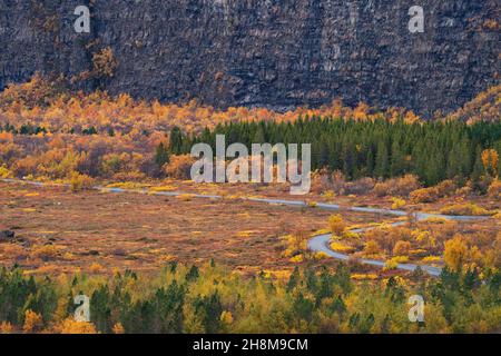 Asbyrgi canyon profond et virages route à l'automne dans le nord de l'Islande Banque D'Images