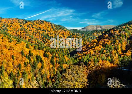 Automne dans la région d'Aspropotamos, Trikala, Thessalie, Grèce.Vue depuis le village de Stefani (ancien nom 'skliniasa') à une altitude d'environ 1400 mètres. Banque D'Images