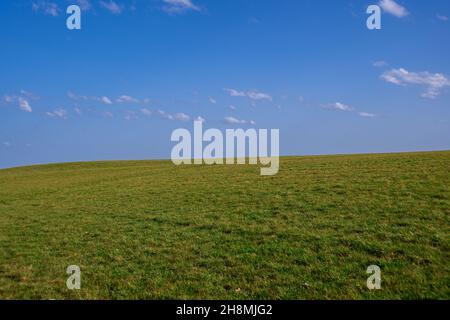 Un pré vert avec un ciel bleu et quelques nuages Banque D'Images