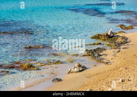 Belle eau cristalline à Pesoluse Beach, Salento, Apulia, Italie Banque D'Images