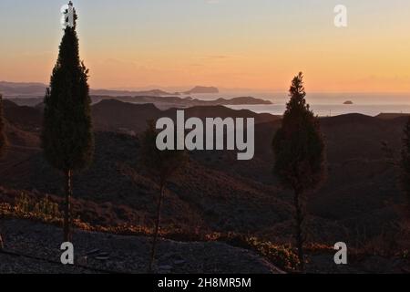 Cyprès en face de la côte, vue sur San Juan de los Terreros et Aguilas, cyprès au lever du soleil, atmosphère matinale en mer, lever du soleil sur la côte Banque D'Images