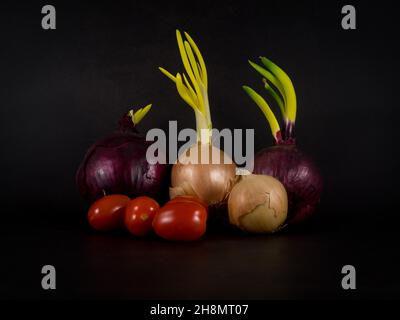 Encore la vie avec des oignons rouges et blancs et des tomates cerises Banque D'Images