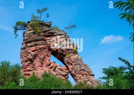 Schillerfelsen, Forêt du Palatinat, Dahn, Rhénanie-Palatinat Banque D'Images