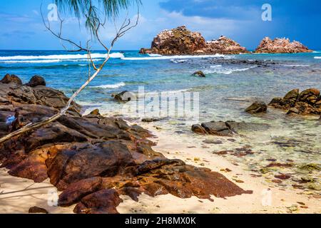 Sanctuaire d'oiseaux, île Cousin, Seychelles, Cousin, Seychelles Banque D'Images