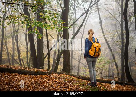 Femme touriste regardant dans la forêt brumeuse.Randonnée dans la nature de l'automne.Randonneur avec sac à dos debout dans la forêt Banque D'Images