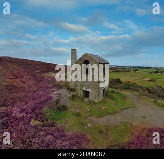 Ruines de la maison de moteur Betsy de petit-lait près de Mary Tavy à Devon, Angleterre Banque D'Images