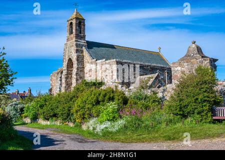 Des fleurs printanières colorées sur le bord de la route, à côté de l'église paroissiale de St Mary, dans le village de Lindisfarne, sur l'île Sainte, sur la côte de Northumberland en Angleterre, au Royaume-Uni Banque D'Images