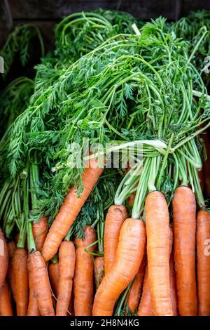 Une photo plein cadre de carottes à vendre sur un marché agricole Banque D'Images