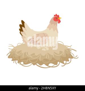 Poule blanche assise dans le nid. Illustration de Vecteur