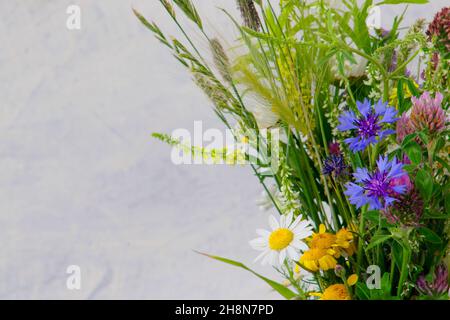 bouquet d'été. camomille, fleurs de maïs, herbe et céréales sur fond clair avec espace de copie. mise au point douce.Concept été ou printemps Banque D'Images