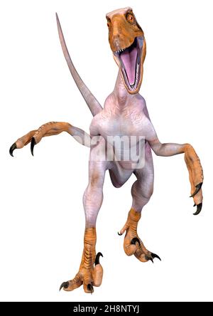 Rendu 3D d'un dinosaure Deinonychus Antirrrhopus isolé sur blanc arrière-plan Banque D'Images