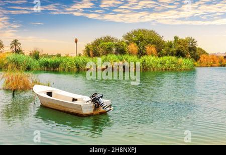 Bateau à moteur dans le Nil, belles rives vertes près d'Assouan, Egypte. Banque D'Images