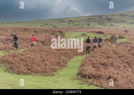 Chasse sur sentier à Dartmoor Banque D'Images