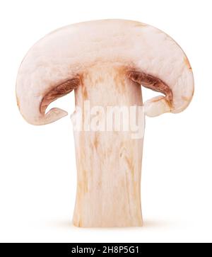 Champignons champignon coupés en moitié isolés sur fond blanc.Masque.Profondeur de champ complète. Banque D'Images