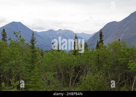 Panneau au parc national et réserve Kluane au Yukon, Canada. Banque D'Images