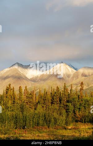 Une montagne ensoleillée à Haines Junction, au Yukon, au Canada.Le sommet du parc national et de la réserve Kluane surplombe la forêt. Banque D'Images