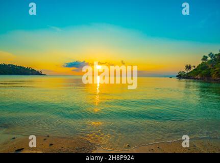 Des cocotiers sur la plage de sable de tropic sur le coucher du soleil. Thaïlande Banque D'Images