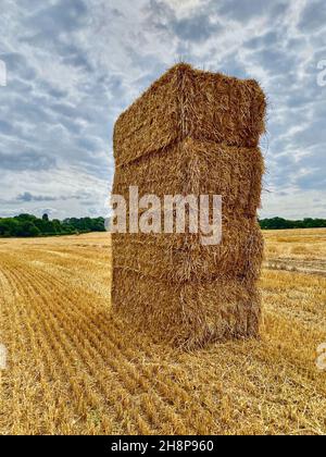 Pile de foin mis en balles Banque D'Images