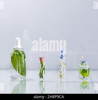 Flacons en verre avec extraits de plantes dans des liquides clairs.Quatre flacons d'une rangée sur un fond clair. Banque D'Images