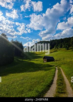 Vue sur une cabane en bois avec un saule luxuriant en arrière-plan près de reith à seefeld en autriche Banque D'Images