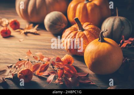 Citrouilles pour Thanksgiving sur fond de bois Banque D'Images