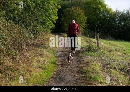 Un marcheur de chien sur son chemin en haut de grimper sur la Wolds Way depuis South Cave, à l'est de la promenade du Yorkshire Wolds Way le long de la route de la promenade de Yorkshire Wolds Way à Engla Banque D'Images