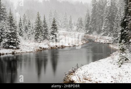 Junction Creek dans un déneigement, Grand Sudbury, Ontario, Canada Banque D'Images