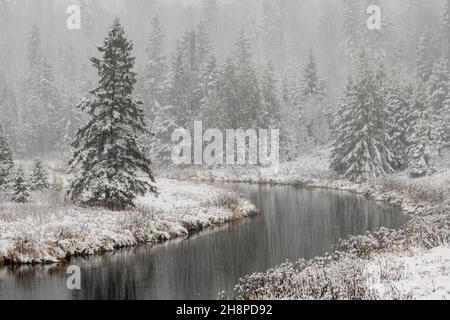 Junction Creek dans un déneigement, Grand Sudbury, Ontario, Canada Banque D'Images