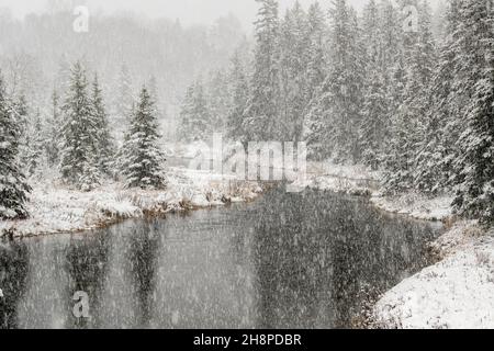 Junction Creek dans un déneigement, Grand Sudbury, Ontario, Canada Banque D'Images