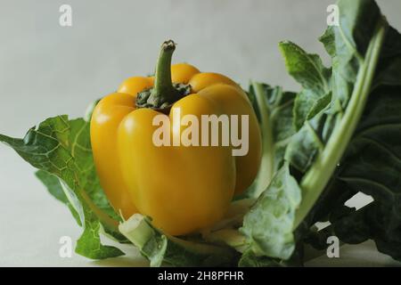 Poivrons jaunes.Poivron ou Capsicum annuum, également appelé poivron ou capsicum.Les poivrons sont utilisés dans les salades et dans les plats cuisinés et dans les raies Banque D'Images