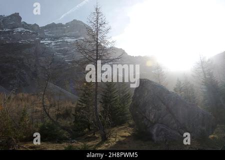 Spätherbst im Val de Nant, einem spektakulären Naturschutzgebiet von Pro Natura Banque D'Images