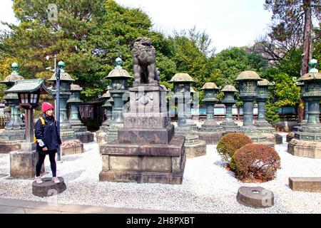 Une statue en pierre d'un lion parmi de nombreuses lanternes de bronze au sanctuaire Ueno Toshogu dans le parc Ueno, Tokyo.Il y a une personne dans l'image. Banque D'Images