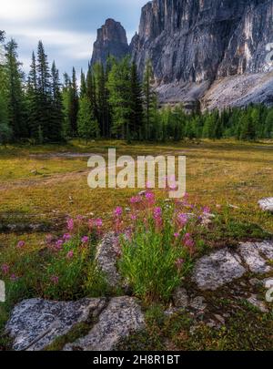 Les nuages se déplacent autour des arbres avec réflexion de la montagne sur le lac sous la pluie. Banque D'Images