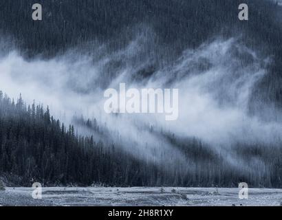 Les nuages se déplacent autour des arbres avec réflexion de la montagne sur le lac sous la pluie. Banque D'Images