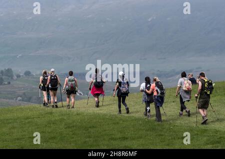 Groupe de marche sur une colline sur le sentier des trois sommets, qui s'est concentré sur un arrière-plan doux et chaud et brumeux de la colline de Whernside et du viaduc de Ribblehead Banque D'Images