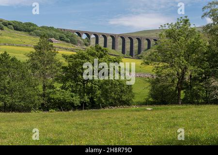 Vue de bas niveau du viaduc Denthead sur le chemin de fer Settle-Carlisle à travers le North Yorkshire et Cumbria; prairie de foin à l'ancienne et arbres en premier plan Banque D'Images