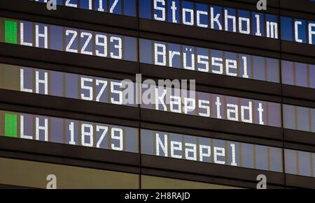 Munich, Allemagne.1er décembre 2021.Un vol Lufthansa au départ du Cap est visible sur un panneau d'affichage dans la zone des arrivées de l'aéroport de Munich.Tous les passagers d'Afrique du Sud doivent passer un test PCR à l'aéroport.Credit: Sven Hoppe/dpa/Alay Live News Banque D'Images